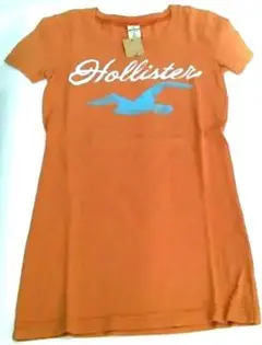 全盛期USA正規店購入！新品HollisterTシャツ　XSサイズ