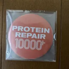 PROTEIN REPAIR 10000+ ミラー