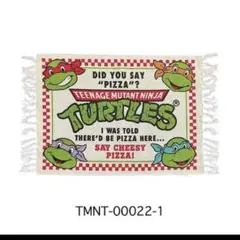 アメリカン雑貨⭐︎タートルズ/コットンマット/チェック②