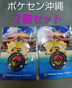 2025年最新】オキナワピカチュウの人気アイテム - メルカリ