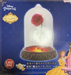 一番くじ ディズニープリンセスドリーミングフラワーズ セット