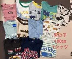 めい様 リクエスト 2点 まとめ商品