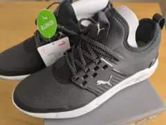 Item thumbnail for item 324f86fc-060f-4c31-82cc-3f387567c769