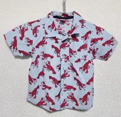 Item thumbnail for item 1f3e61e1-e537-4bfd-ae4c-4a05eee35e41