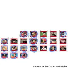 ハイキューゴミ捨て場の決戦パシャこれ音駒セット