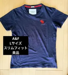 美品Abercrombie & Fitch アバクロネイビー Tシャツ Lサイズ