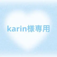 karin様専用ページ