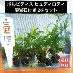 2026年最新】ボルビティス ヒュディロティの人気アイテム - メルカリ