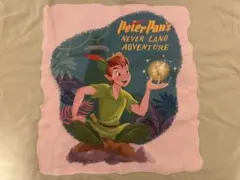 Tシャツ ビッグシルエット ユニセックスワンサイズ ピーター・パン