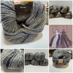 EKEKO's スーパーファインアルパカ 段染 並太 ペルー製5玉　EB02