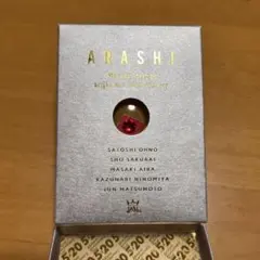 嵐 スワロフスキー