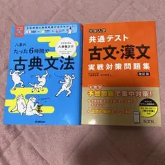 古典文法・古文・漢文問題集