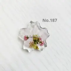 Item thumbnail for item 529e4f42-037a-4c58-aaaf-e9fe07f0baf0