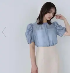 ギャザースリーブシアーブラウス NATURAL BEAUTY BASICのサムネイル