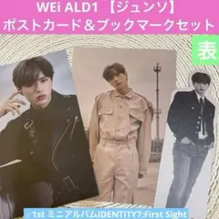 WEi ALD1 【ジュンソ】ポストカード＆ブックマークセット