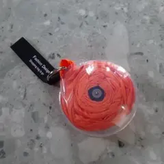 Item thumbnail for item f43336f4-5d73-44ae-b29d-c8fb56bb89c1