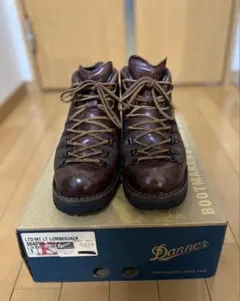 Danner LTD MT LT LUMBERJACK 30429X 箱付きのサムネイル