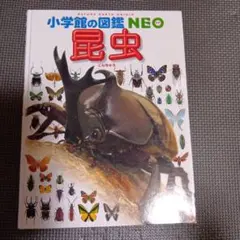【☆書き込み少しあり☆】小学校の図鑑NEO 昆虫