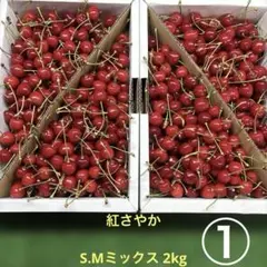 山形県さくらんぼ ＊紅さやか 2kg ◎S.Mミックス 小粒ちゃんのサムネイル