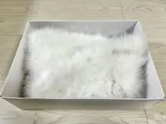 Item thumbnail for item 7e06f31b-01dd-4bc4-808e-42ca3dd9b63e