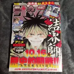超メルカリ市限定】 少年サンデープレミアム 最高級複製原画 「犬夜叉