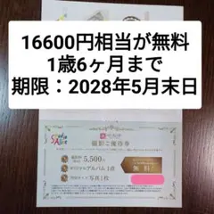 ご購入日の翌日までに発送★スタジオアリス クーポン