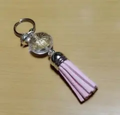 Item thumbnail for item b74bcd3e-c164-4772-9fd7-3077bb43e5b2