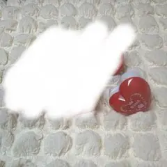 わんちゃん様 専用ページ