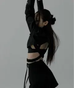 meltthelady work cropped topsのサムネイル