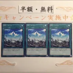 RRーネスト　レイドラプターズネスト【テコ】