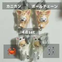 straykids スキズ skzoo つまつな ジニレット フォクシニー