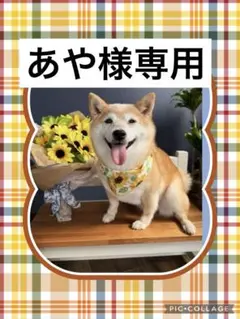 あや様専用　マスコットチャーム　ファブリックトレイ