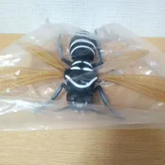 Item thumbnail for item c8d70c16-31ea-4dc9-a32c-296ed28ae75e