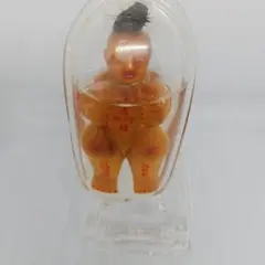 タイ プラクルアン クマントーン レア 2025年最新】クマントーンの人気アイテム - メルカリ