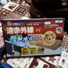 Item thumbnail for item b6e874d1-77e8-40e3-b7ce-b6edf5955f0c