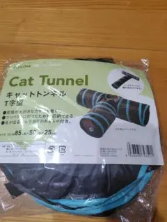 Item thumbnail for item 60a3553d-42a5-4c9e-852f-309c77cc03d6