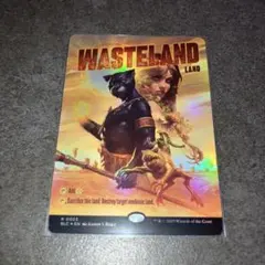 不毛の大地　foil 1枚　英語　MTG