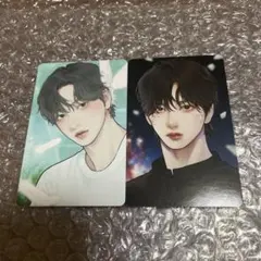 スビン　トレカ　2枚セット