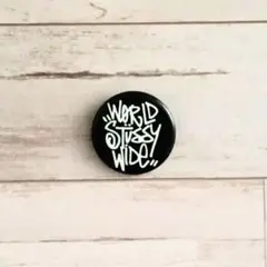 stussy缶バッジ⑤