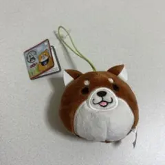 もちしば フェイスマスコット 柴犬