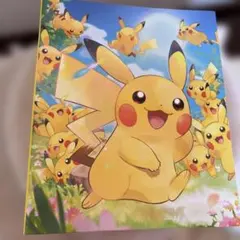 ポケモンカードゲーム　コレクションフィルム
