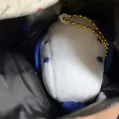 USJコレクタブルマスコット 25周年 ユニバ　スヌーピー