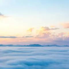 にゃん様専用ページ