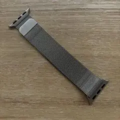 Apple Watch 純正 ミラネーゼループ 41mm ゴールド