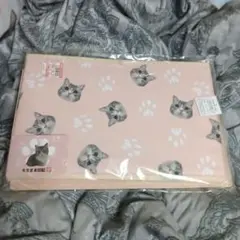 未使用 しまむら もちまる日記 収納ボックスのサムネイル