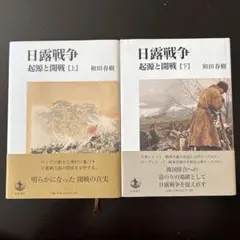 改訂新版　戊辰戦争全史　上下2巻セット 改訂新版 戊辰戦争全史 上下2巻セット - メルカリ