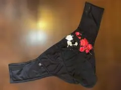 Item thumbnail for item 63431842-e976-4766-96bd-6afb2345b7dc