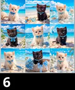 オーダーページ　ハンカチ853 ねこちゃん海柄　ハンドメイド5/10
