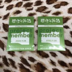 ♦︎ 7ORDER 脱色と着色 ツアーパス風ステッカー 緑２枚セット♦︎