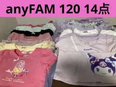 anyFAM 120 おまとめ14点